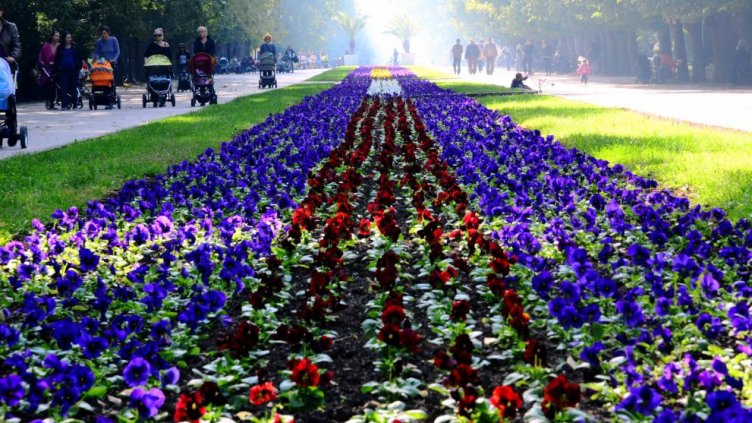 Днес е "Ден за размисъл" 