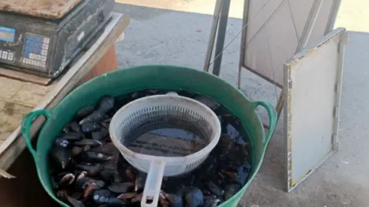 Спипаха нерегламентиран продавач на миди в "Аспарухово"