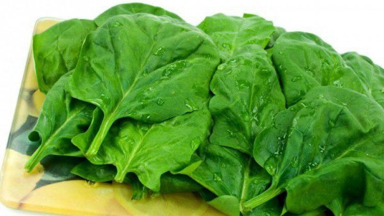Спанак – зарежда ни с витамини, подобрява зрението