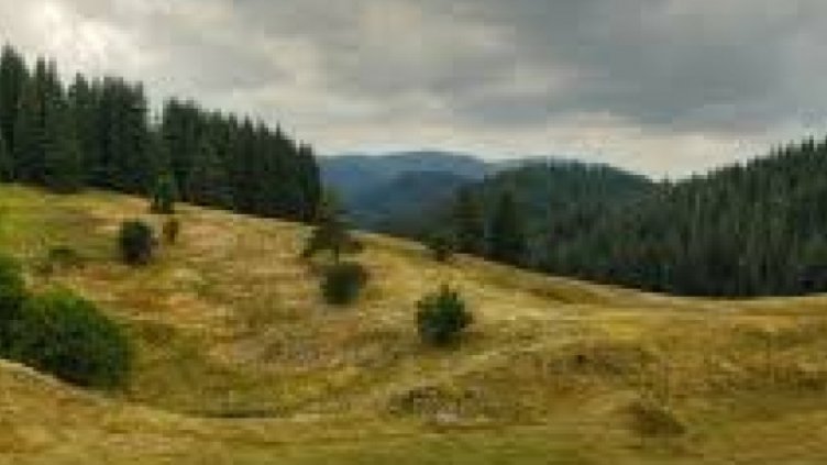 Над 200 000 атакуват събора на Рожен