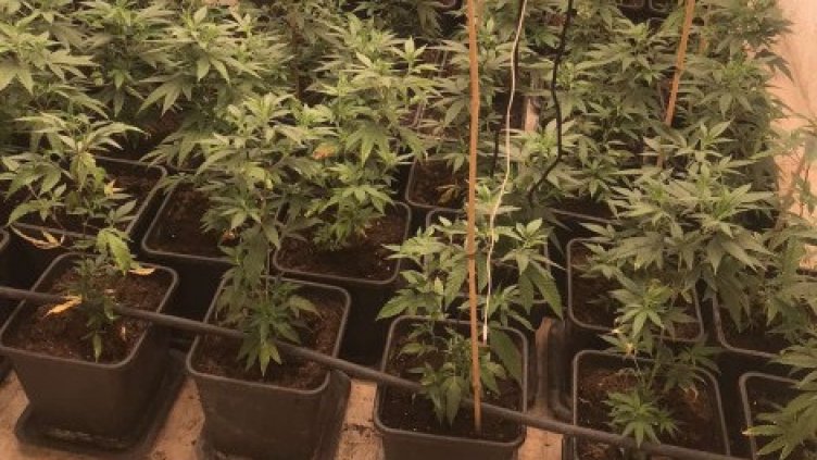 Закопчаха млад германец, гледал трева в „Акчелар“