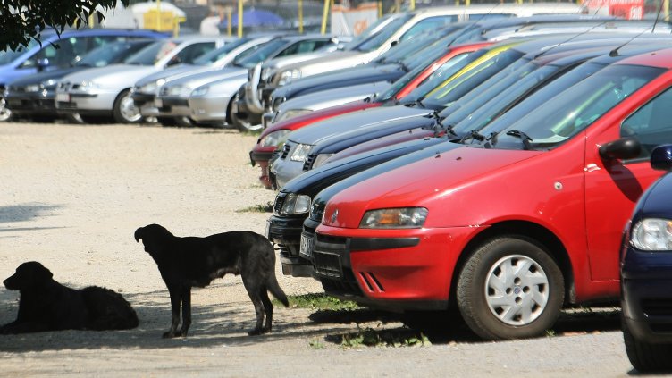 Глад за коли "втора ръка", а внос почти няма. Цените им скочиха двойно