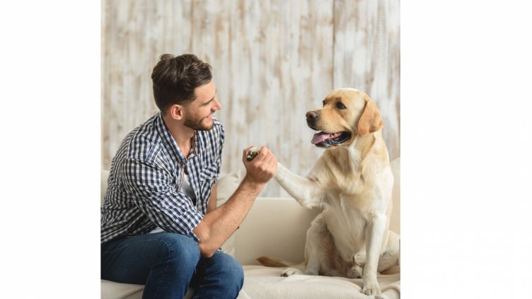 Кучето знае какво ви тежи на сърцето