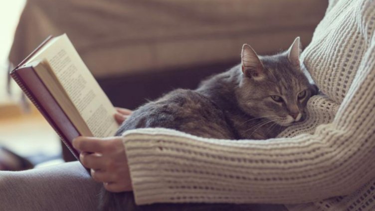 Защо котките обичат да спят при стопаните си