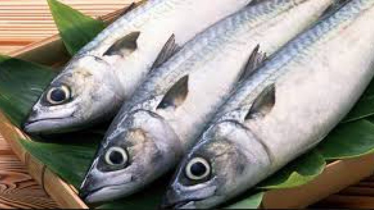 Обнародваха промените за организациите на производители в сектор рибарство