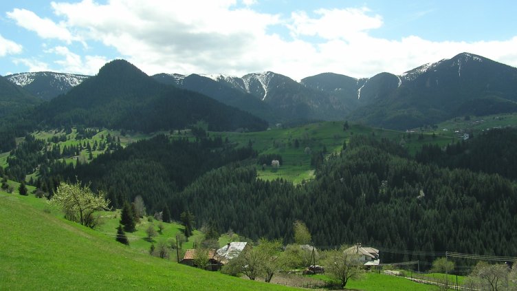 В Родопите има рубини?