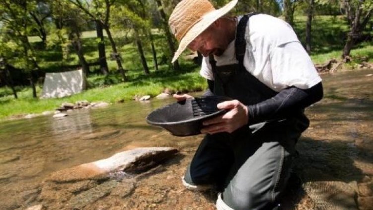 Треска за злато по река Искър