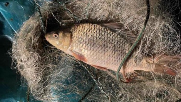 ИАРА хвана бракониери, замрежили язовир "Цонево" 