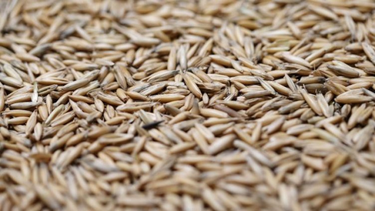 Идва нов скок: Украйна спира износа на елда, ръж и овес