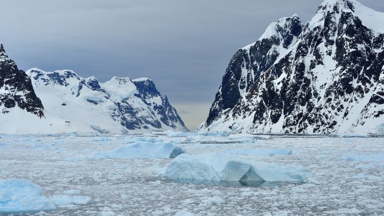 Прожектират филми от експедиците на полярниците ни до Антарктида
