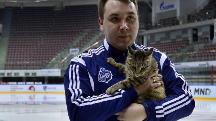 По стъпките на Пепеляшка, или как котаракът-крадец се превърна в котката Матроскина (ВИДЕО)