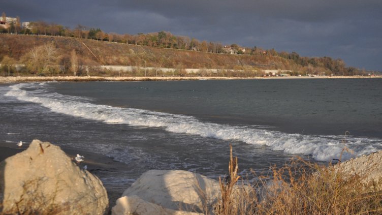 снимка: Ели Маринова