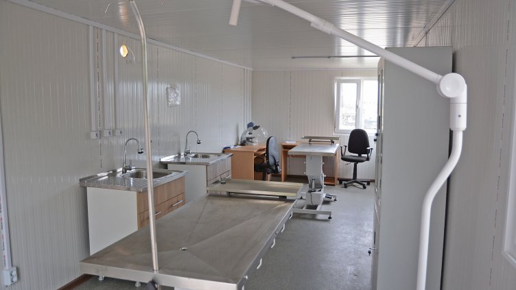 Новият фургон в приюта за безстопанствени кучета в Каменар е почти оборудван