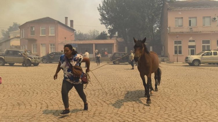 Какво изпепели огънят до момента (ОБОБЩЕНИЕ)