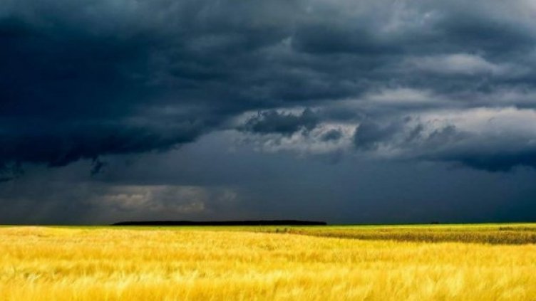 Земеделци се готвят за протест заради забавената "украинска помощ"