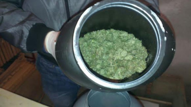 В Бургас хванаха 6 кг марихуана