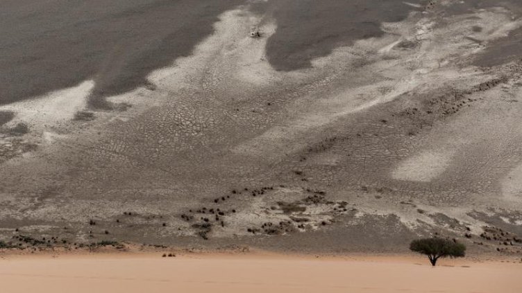 Намибия оживява с фотоизложба във Варна