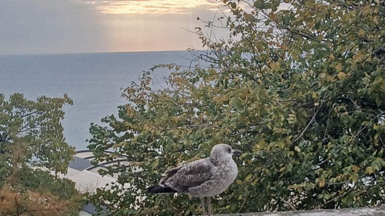Слънчево време в цялата страна днес