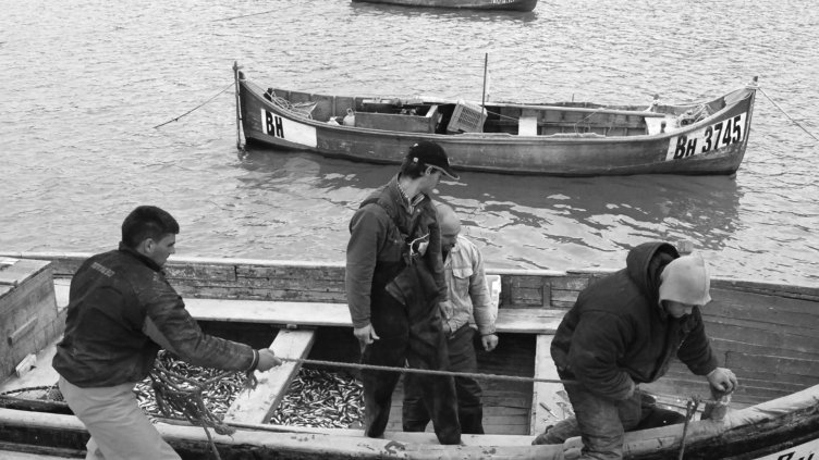 Нова платформа стимулира дребните рибари в морето