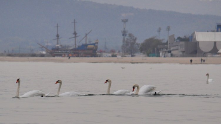 До 8 градуса днес по Черноморието