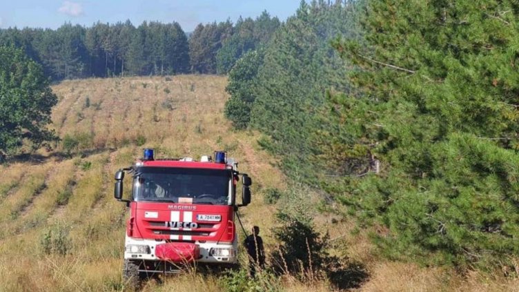 Овладян е пожарът в Сакар планина
