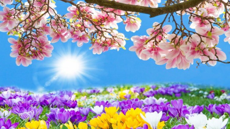 Цветница е!