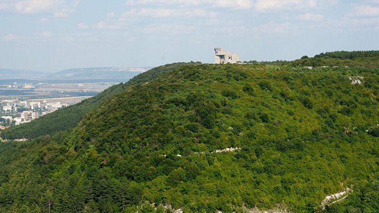 Специалист от зоопарка във Варна ще помага за залавянето на животното в Шумен