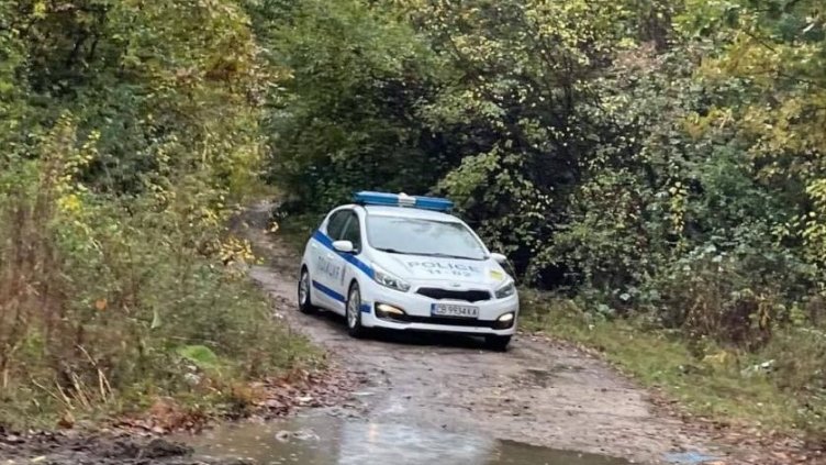 Катаджии, "излезли на разходка из храстите", в отбивка край главен път. Пак ли?