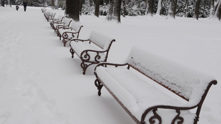 Снимка Пламен Гутинов, архив