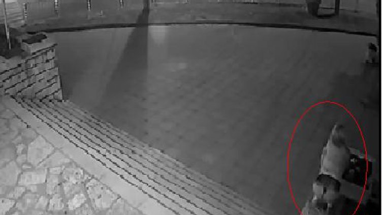 (Видео) Секси мацки, крадат цветя в &quot;Аспарухово&quot;