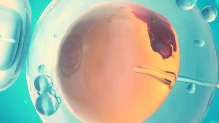 Държавата ще плаща ин витро и на онкоболни жени