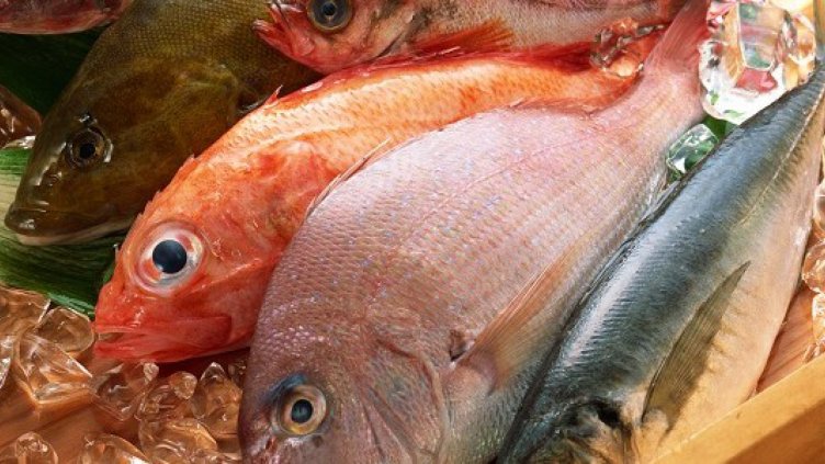 Внасяме няколко пъти повече риба отколкото консумираме