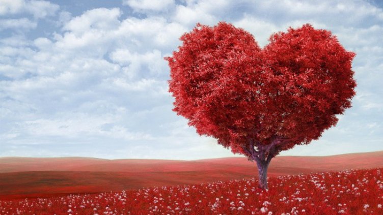 Това е най-добрият начин да поддържаме сърцето си здраво