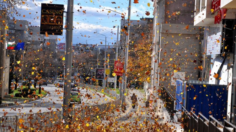 Снимка Пламен Гутинов