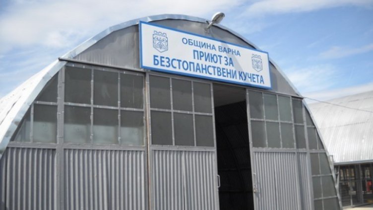 Не увеличиха щата на Кучкарника