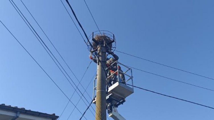 Електромонтьори помогнаха на двойка щъркели в с. Юнак