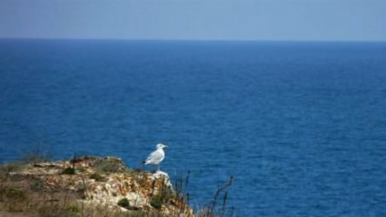 Честваме Международния ден на Черно море