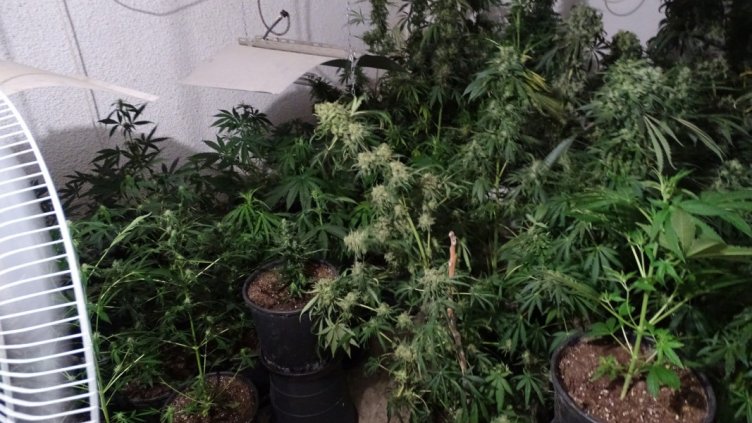 Задържаните за наркопроизводтсво в Добричко остават в ареста