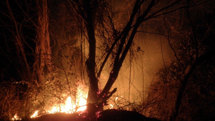 Пасища горят край пътя за Рилския манастир