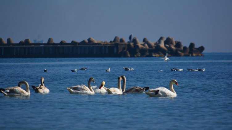 Облаци и слънце ще се редуват в пoнеделник