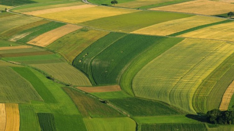 Бедствено положение заради залети земи в Североизточна България