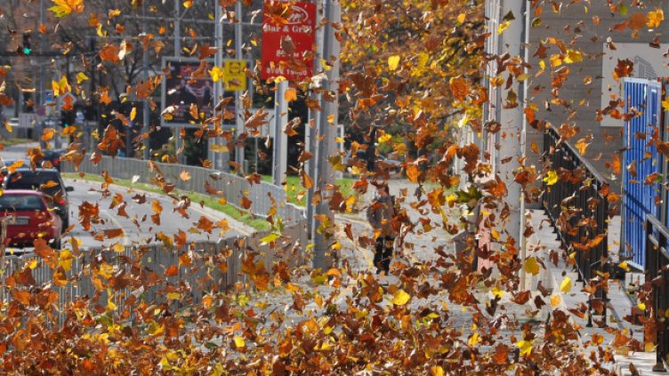 Снимка: Пламен Гутинов