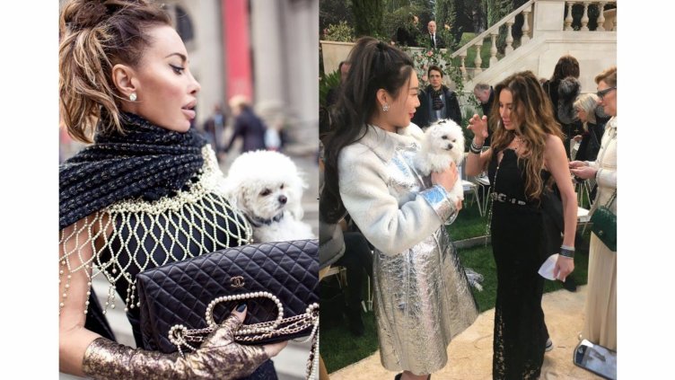 Варненско куче блесна на световно ревю