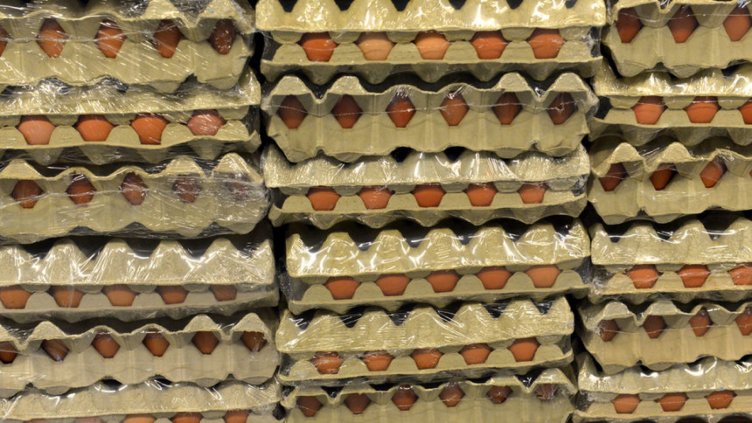 На българския пазар няма яйца с фипронил