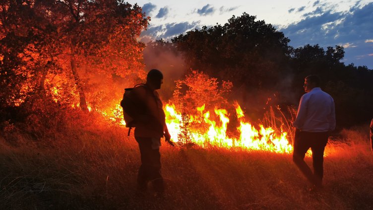 9 са активните пожари в страната