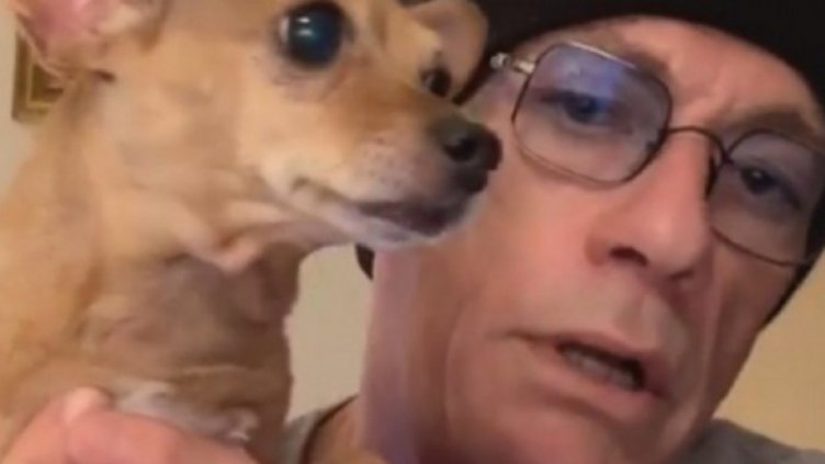 Наказват ветеринар от Тервел заради случая с Жан-Клод Ван Дам