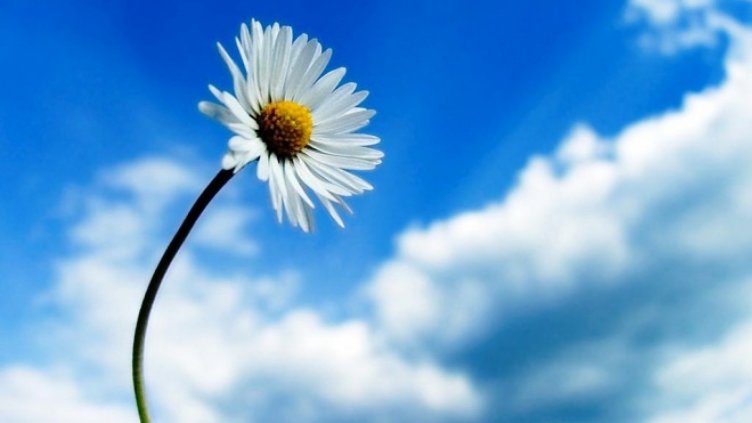 Въздухът в България поскъпва