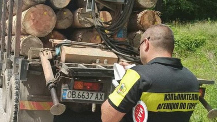 Арестуваха горски за кражба на дърва край Варна