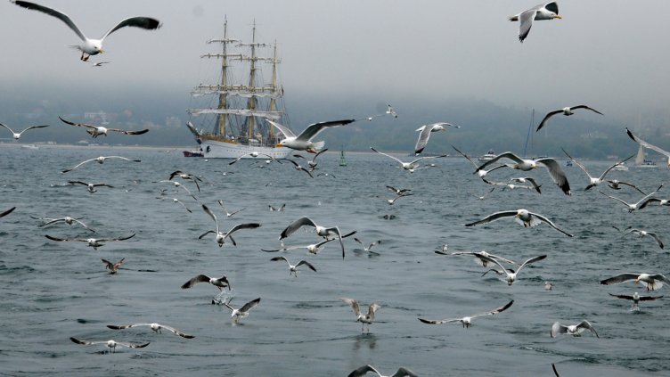 Променлива облачност, очаква се да превали