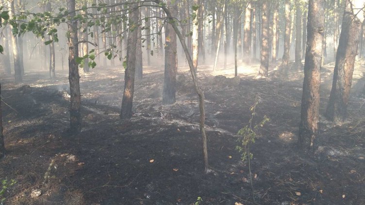 Пожар от човешка небрежност вилня в землището на Аксаково